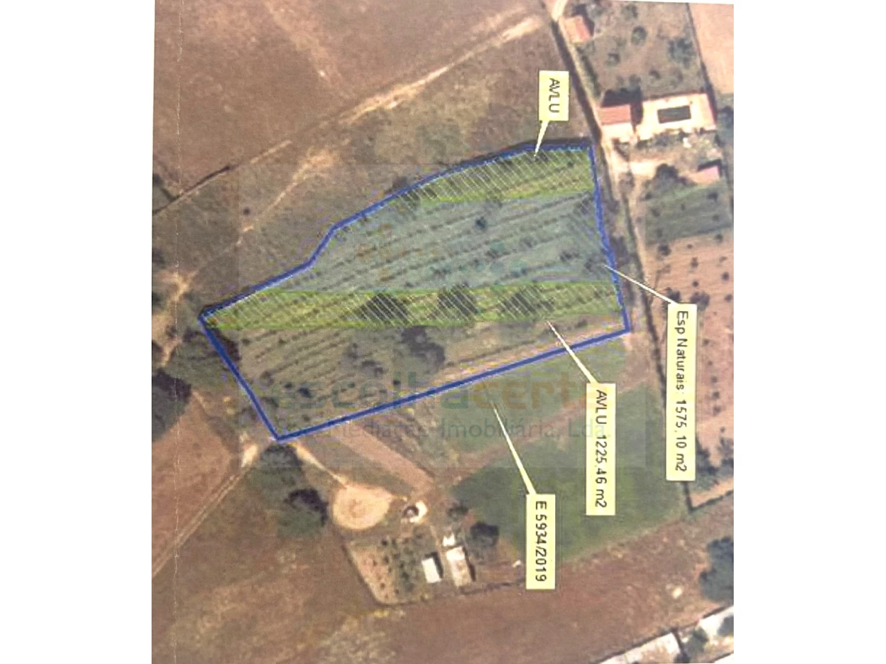 Terrain avec Verger à Quinta do Anjo – Projet Unique