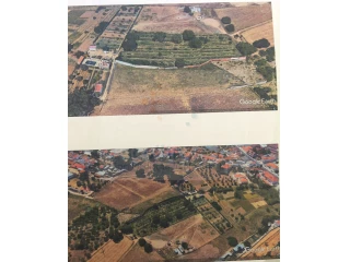 Image Slide
