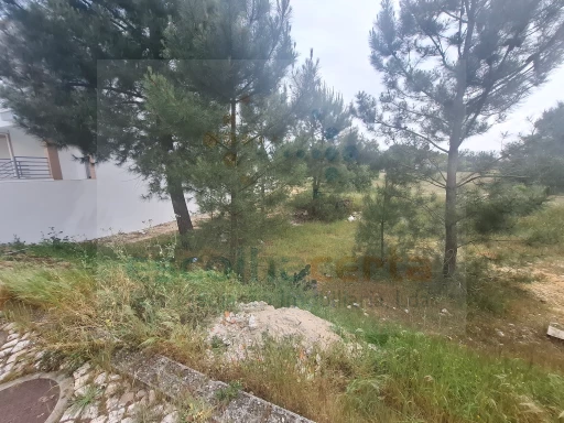 Image Slide