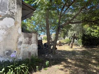 Image Slide