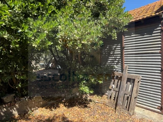 Image Slide