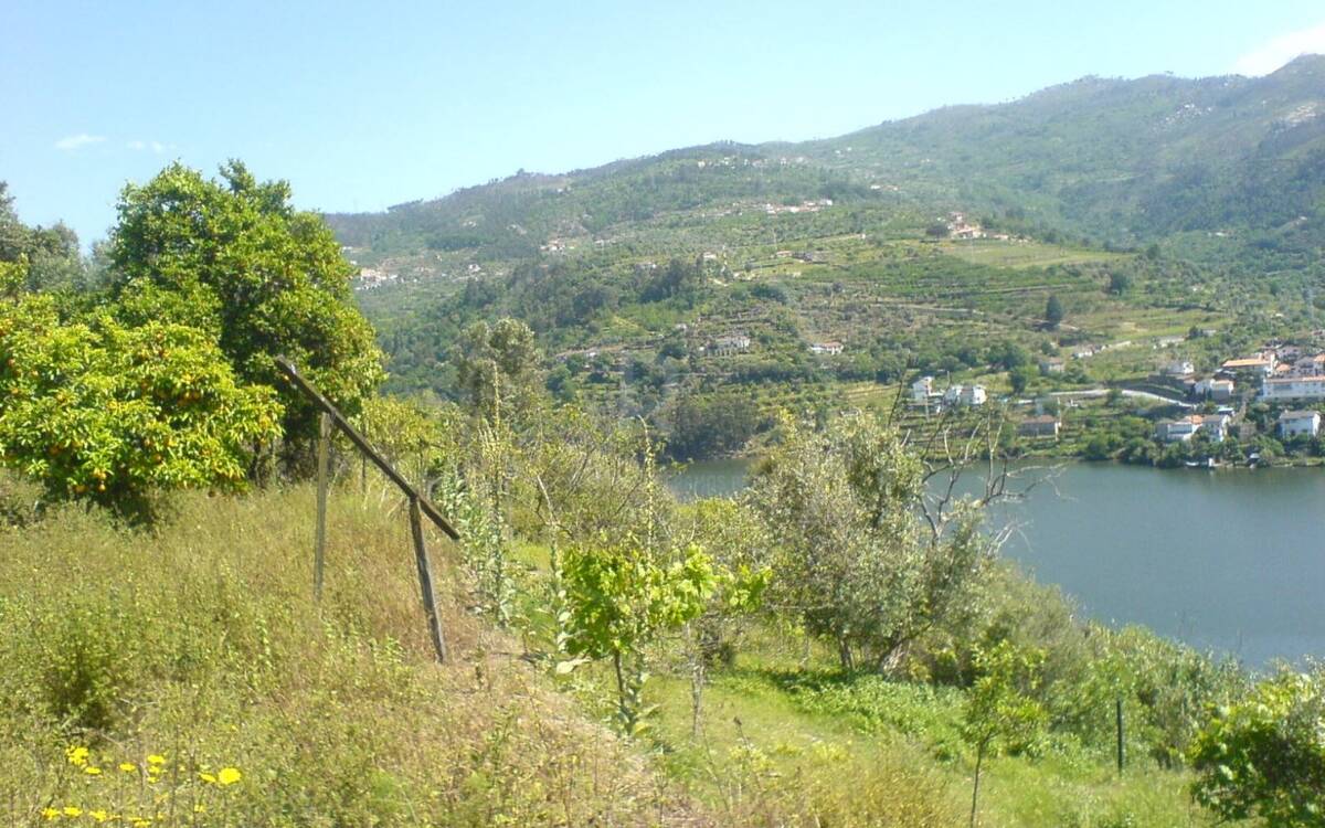 Land Above The Douro River With Ruin For Recovery With Full River Views