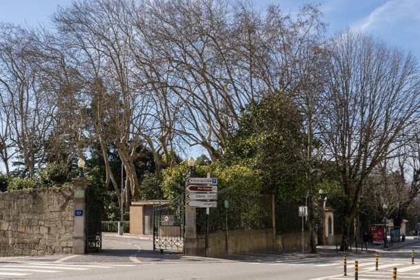 Image Slide