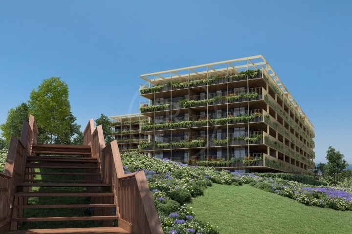 Image Slide