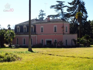 Image Slide