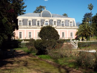 Image Slide