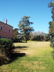 Image Slide
