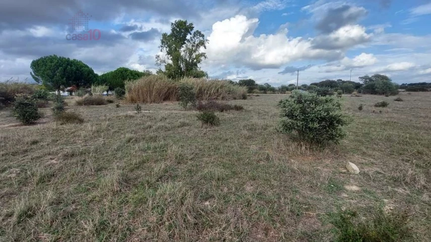 FARM FOR SALE IN ÉVORA