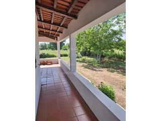 Image Slide