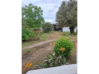 Image Slide
