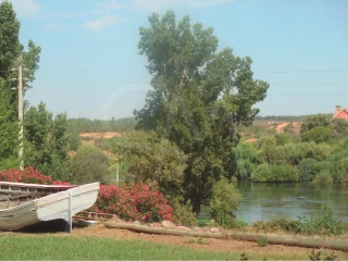 Image Slide