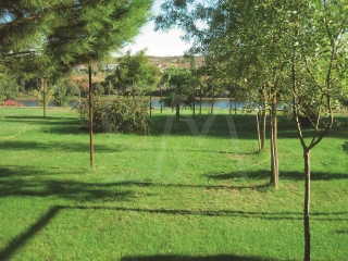 Image Slide