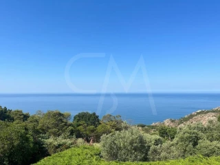 Image Slide