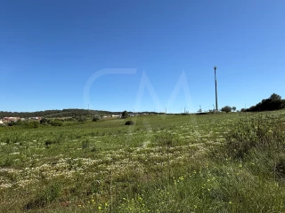 Image Slide