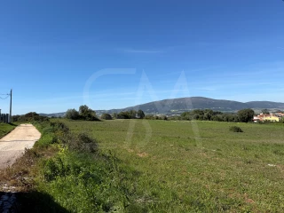 Image Slide