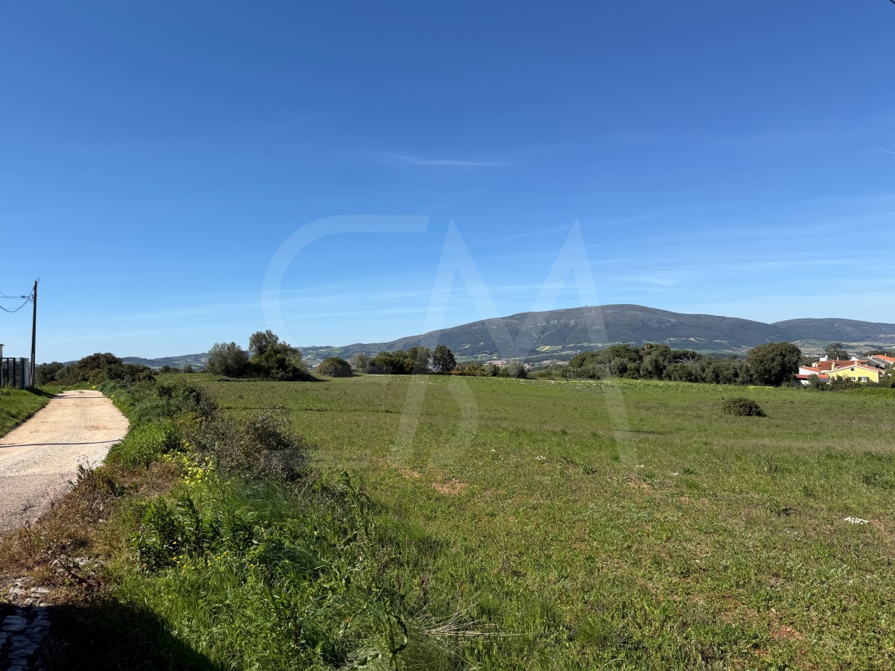 Image Slide