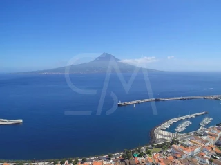Image Slide