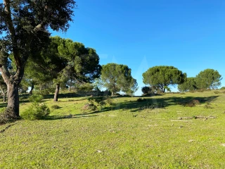 Image Slide