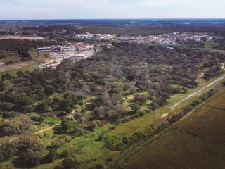Image Slide
