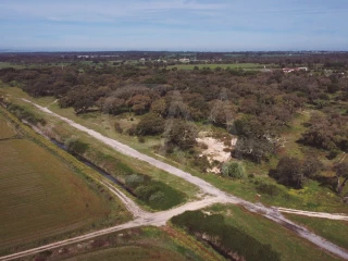 Image Slide