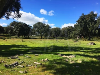 Image Slide