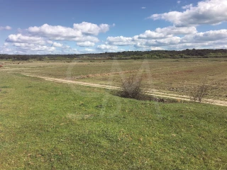 Image Slide