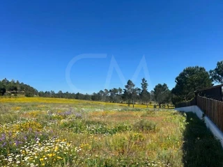 Image Slide