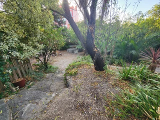 Image Slide