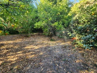 Image Slide
