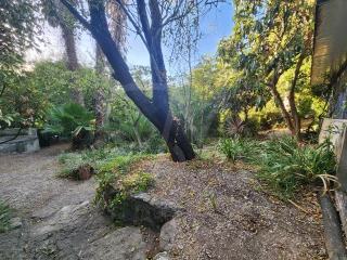 Image Slide