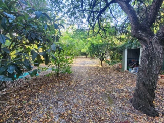 Image Slide