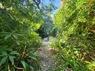 Image Slide