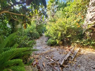 Image Slide
