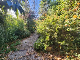 Image Slide