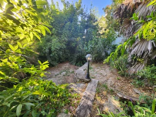 Image Slide