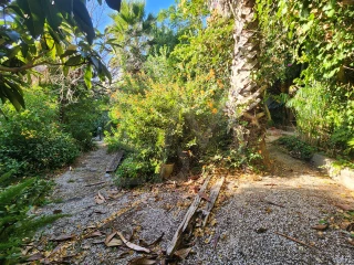 Image Slide